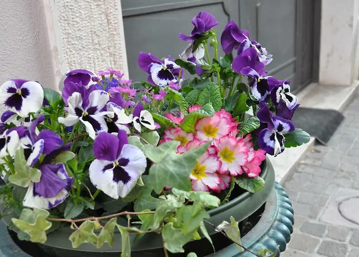 Gasthuis Bardoliners Bardolino